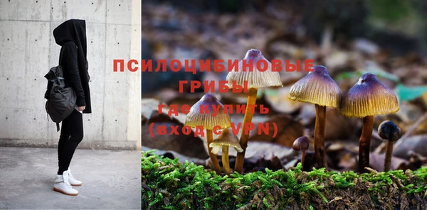 твердый Богородск