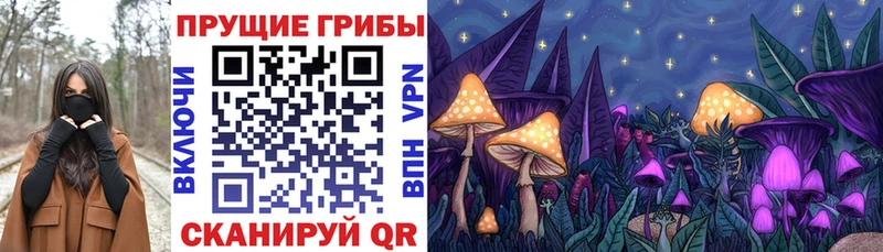 Купить закладки  Шумиха  Галлюциногенные грибы MAGIC MUSHROOMS 